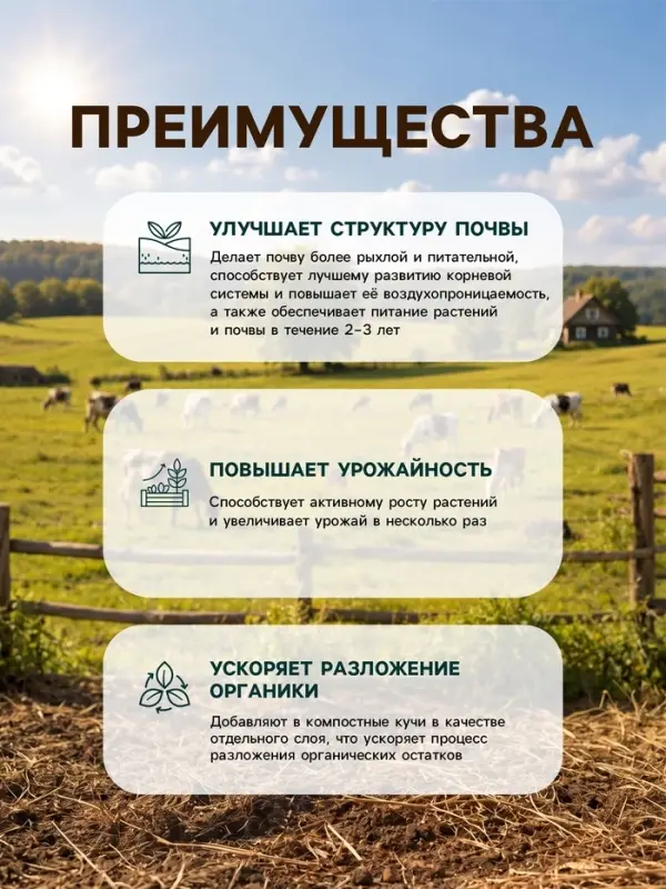 Удобрение органическое &laquo;Зола Костная&raquo; 2 л