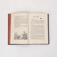 Книга &laquo;Морские глубины. Песнь бездны&raquo;, Эмма Хэмм