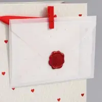 Пакет ламинированный &laquo;Важный момент&raquo;, 22.3&times;9&times;35 см