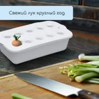 Ящик для выращивания зелёного лука, 29&times;16&times;8.5 см, 2.5 л, 10 лунок, пластик, белый, Greengo