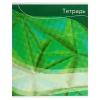 Тетради 5 штук, 48 листов в линию Calligrata &laquo;Графика-2&raquo;, обложка мелованный картон, блок №2, белизна 75% (серые листы)
