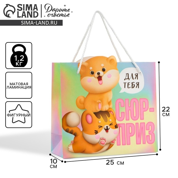 Пакет подарочный, упаковка, «Сюрприз», 25 х 26 х 10 см Пакет подарочный, упаковка, «Сюрприз», 25 х 26 х 10 см