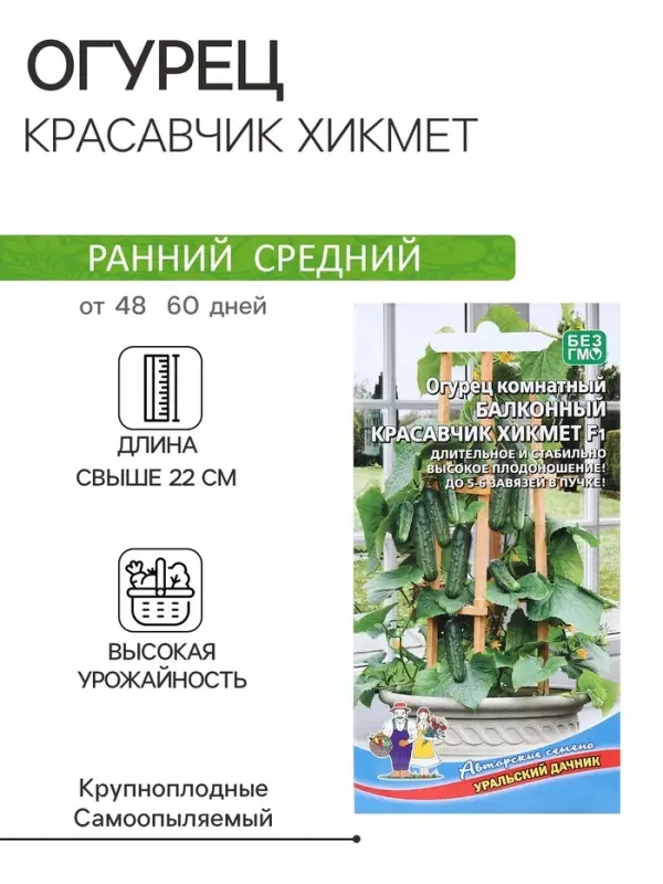 Семена Огурец &laquo;Красавчик Хикмет&raquo;, F1, для балконов и подоконников, 6 шт., &laquo;Уральский Дачник&raquo;