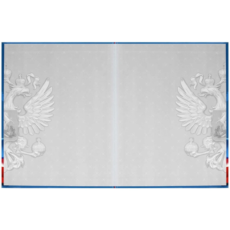 Дневник школьника СИМВОЛИКА ФЛАГ 7БЦ,А5+,48л,глянц. 69753