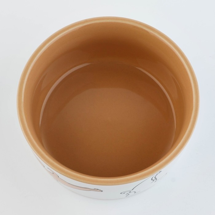 Миска керамическая «Фитнес песики», 200 мл, для собак Миска керамическая «Фитнес песики», 200 мл, для собак