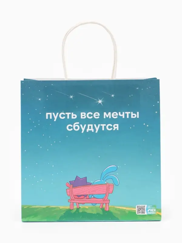 Пакет подарочный &laquo;Мечты сбываются&raquo;, Смешарики, 22&times;22&times;11 см