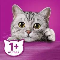 Влажный корм Whiskas Meaty для кошек, кролик, 75 г