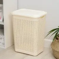 Корзина бельевая, 50 л, 42&times;31&times;56 см, с крышкой, МИКС