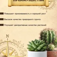 Грунт для Кактусов и суккулентов PETER PEAT, линия &laquo;Хобби&raquo;, 2.5 л