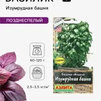 Семена Базилик овощной &laquo;Изумрудная башня&raquo;, 10 шт., &laquo;Аэлита&raquo;