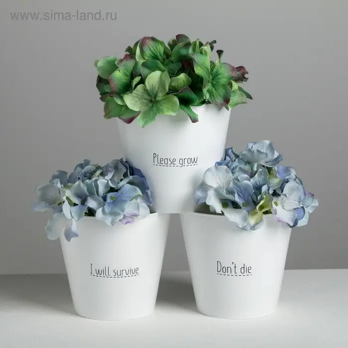 Набор кашпо 3 в 1 Please grow, 0,8 л, 11 х 12 см Набор кашпо 3 в 1 Please grow, 0,8 л, 11 х 12 см