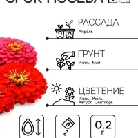 Семена цветов Цинния &laquo;Фейерверк&raquo;, смесь, 0.2 г, &laquo;Рецепты дедушки Никиты&raquo;