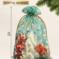 Мешочек подарочный &laquo;Игрушки&raquo;, 16&times;24 см