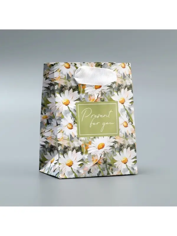 Пакет подарочный ламинированный, упаковка, Present, 9&times;12&times;6.5 см