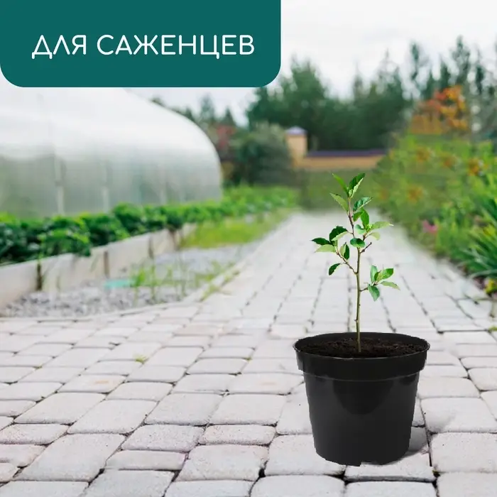 Горшок для рассады, 2 л, d = 17,5 см, h = 13 см, пластик, чёрный, Greengo Горшок для рассады, 2 л, d = 17,5 см, h = 13 см, пластик, чёрный, Greengo