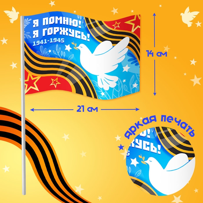 Карнавальный набор «9 мая!», рост 104-152 см, дождевик, флажок Карнавальный набор «9 мая!», рост 104-152 см, дождевик, флажок