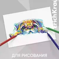 Фломастеры 12 цветов ErichKrause Prima Cat, европодвес