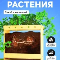 Набор для опытов &laquo;Твоя экоферма&raquo;, 2 в 1