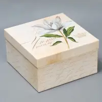 Набор коробок 10 в 1, упаковка подарочная, &laquo;Шебби&raquo;, 10&times;10&times;6‒28&times;28&times;15 см