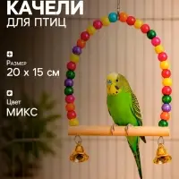 Качели для птиц, 20 см, с деревянной жёрдочкой, цвет МИКС