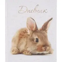 Дневник школьный для 1-11 классов, &laquo;Заяц&raquo;, твёрдая обложка 7БЦ, глянцевая ламинация, 40 листов