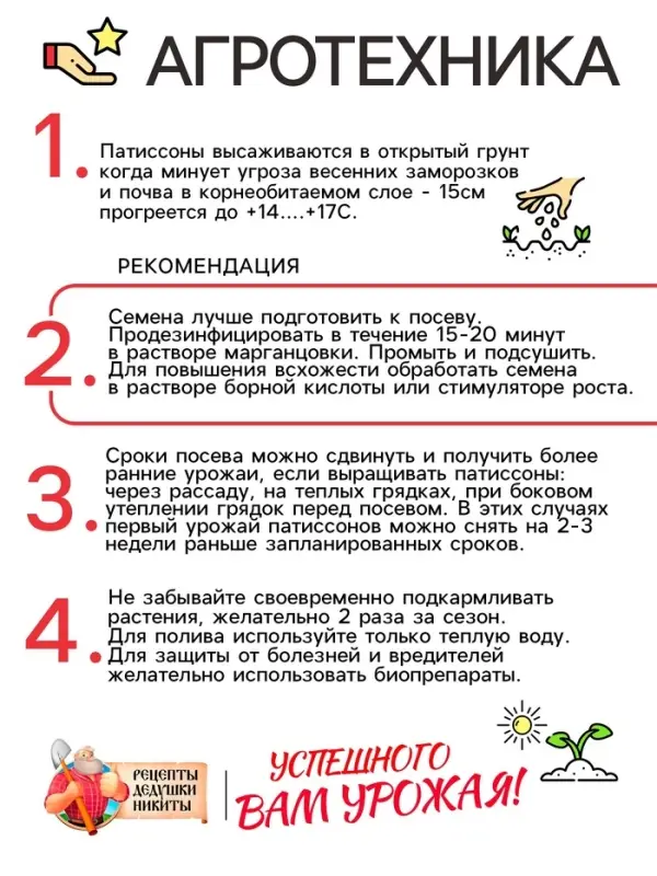 Семена Патиссон  Семена Патиссон "Солнышко", 0,5 г
