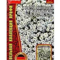 Семена цветов Алиссум Гига Белый (Giga White)  5м.др. 12.29 г.