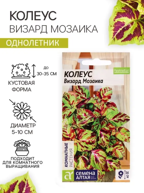 Семена цветов Колеус &laquo;Визард&raquo;, мозаика, &laquo;Семена Алтая&raquo;, цветной пакет, 5 шт.