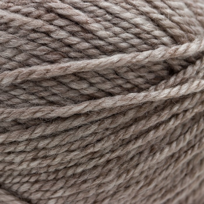 Пряжа для вязания спицами, крючком ALIZE, Extra, 100% акрил, 220 м/100 г, (152 беж меланж)