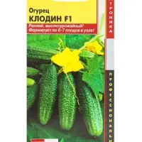 Семена Огурец "Клодин" F1, Раннеспелый, партенокарпический, 5 шт