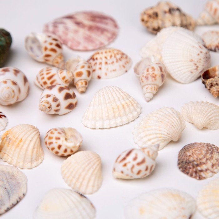 Набор декора  Набор декора "Море"