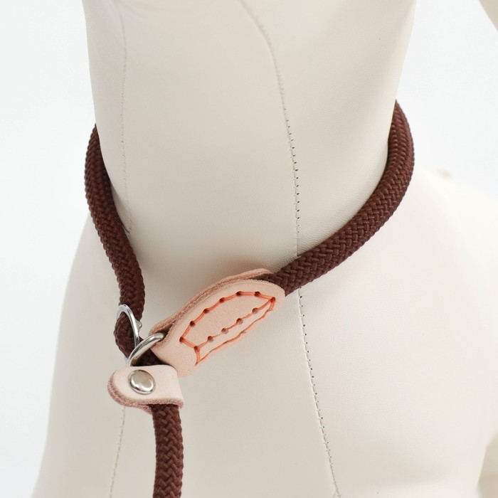 Поводок-удавка 150 см х 6 мм, полиэстер и натуральная кожа, коричневый Поводок-удавка 150 см х 6 мм, полиэстер и натуральная кожа, коричневый