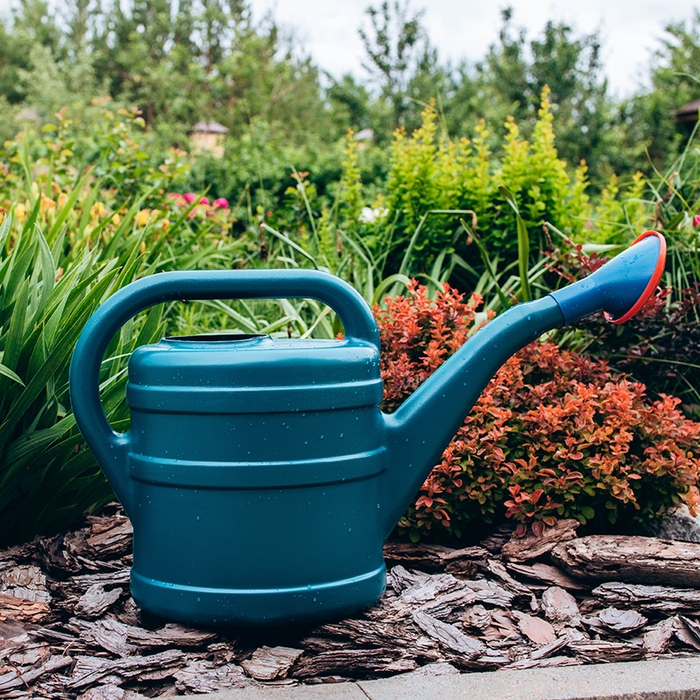 Лейка, 5 л, с рассеивателем, носик d = 30 мм, цвет МИКС Лейка, 5 л, с рассеивателем, носик d = 30 мм, цвет МИКС