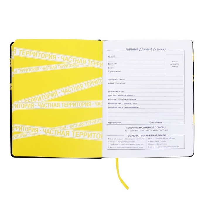 Дневник школьный для 1-11 классов  Дневник школьный для 1-11 классов "Частная территория", твёрдая обложка с поролоном из искусственной кожи, люминесцентная печать, 48 листов, блок офсет 80г/м2, универсальная шпаргалка