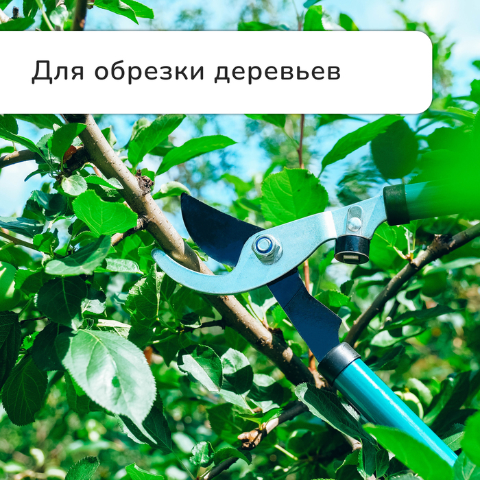 Сучкорез плоскостной, 22.5–33 Сучкорез плоскостной, 22.5–33" (57–84 см), телескопический, с резиновыми ручками, Greengo