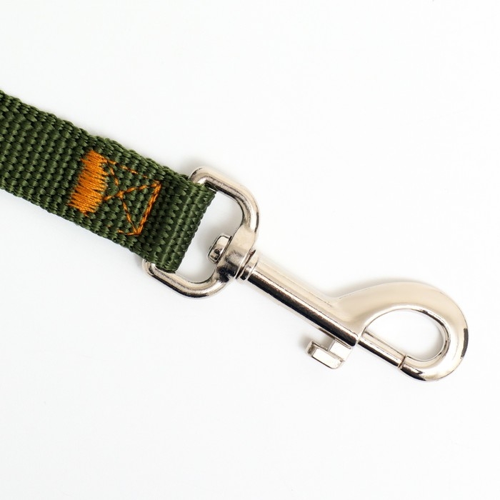 Поводок 7 м х 2 см, зелёный Поводок 7 м х 2 см, зелёный