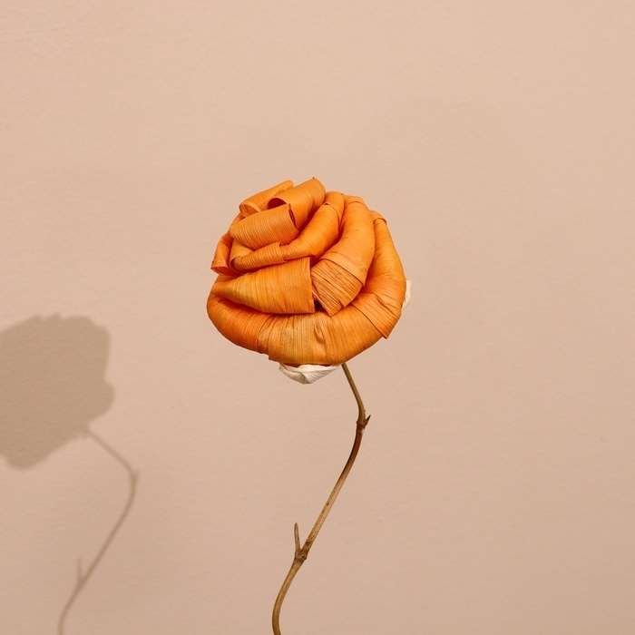 Сухоцвет на бамбуковом стебле 150 см оранжевый Сухоцвет на бамбуковом стебле 150 см оранжевый