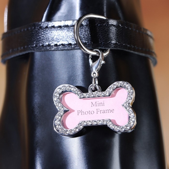 Адресник под записку  Адресник под записку "Косточка" большой, 4,3 х 2,8 см