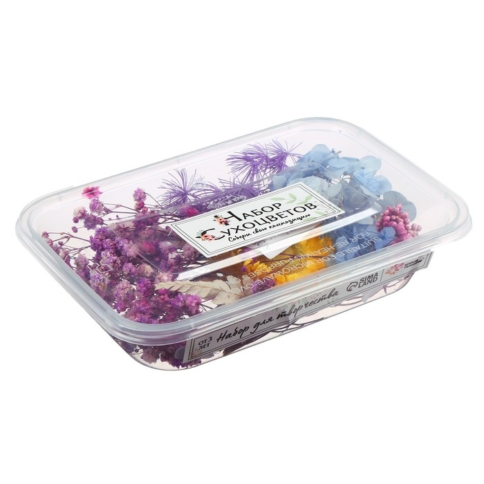 Набор для творчества «Набор сухоцветов», большой, голубой, жёлтый, сиреневый Набор для творчества «Набор сухоцветов», большой, голубой, жёлтый, сиреневый