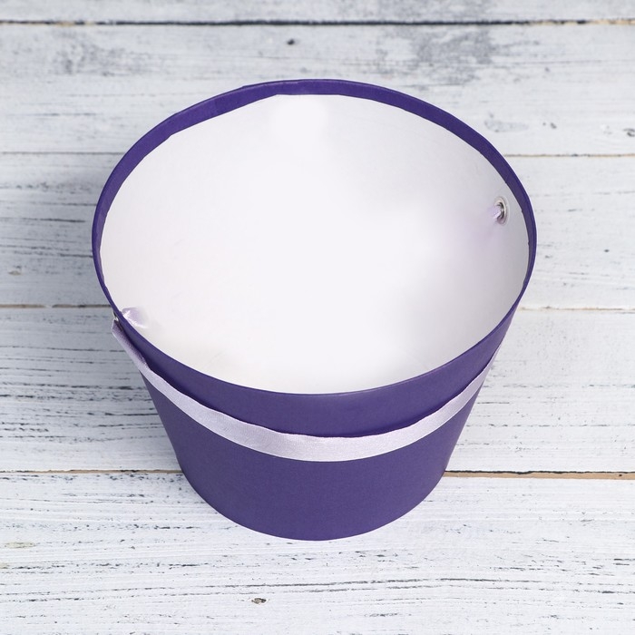 Переноска конус под цветы, фиолетовый 11,5 х 17 х 12 см Переноска конус под цветы, фиолетовый 11,5 х 17 х 12 см
