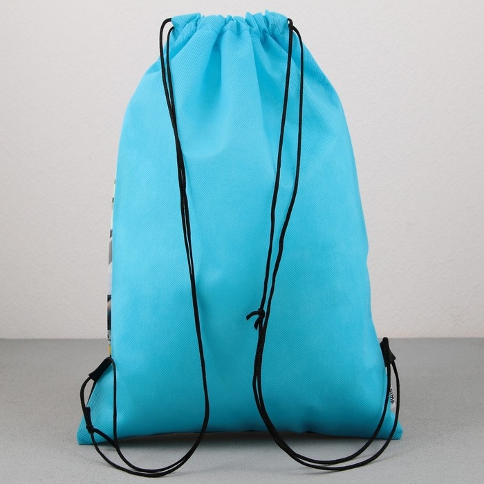 Мешок для обуви «1 сентября: GO!» нетканное полотно, размер 30 х 40 см Мешок для обуви «1 сентября: GO!» нетканное полотно, размер 30 х 40 см