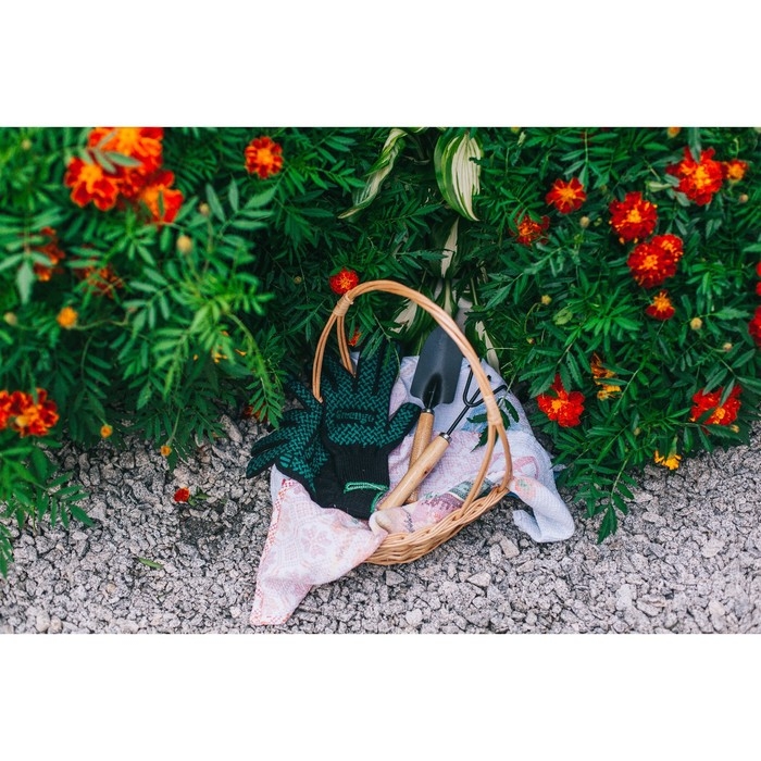 Набор садового инструмента, 2 предмета: рыхлитель, совок, длина 26 см, деревянные ручки, Greengo Набор садового инструмента, 2 предмета: рыхлитель, совок, длина 26 см, деревянные ручки, Greengo