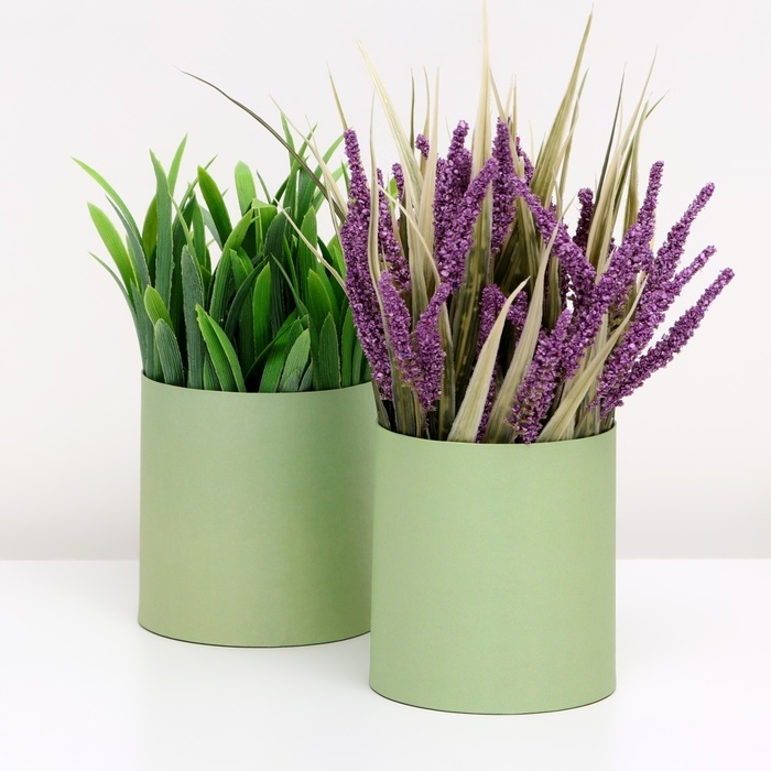 Набор круглых коробок 2в1 , Набор круглых коробок 2в1 ,"Зеленый", без крышки, 10 х 10 х 10,5 см