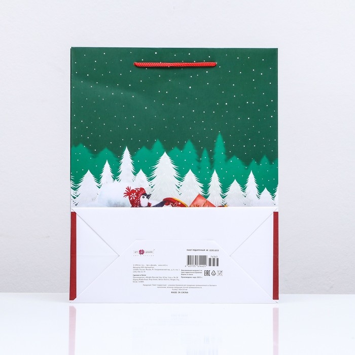Новый год. Пакет подарочный "Нарядная зима ", 26 х 32 х 12 см.