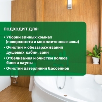 Средство для удаления плесени PROSEPT, с дезинфицирующим эффектом, Bath Fungy, концентрат, 5 л