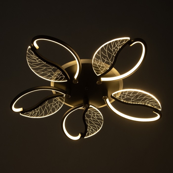 Люстра Люстра "Астрид" 5хLED 110Вт 3000-6000К RGB черный 65х65х8см