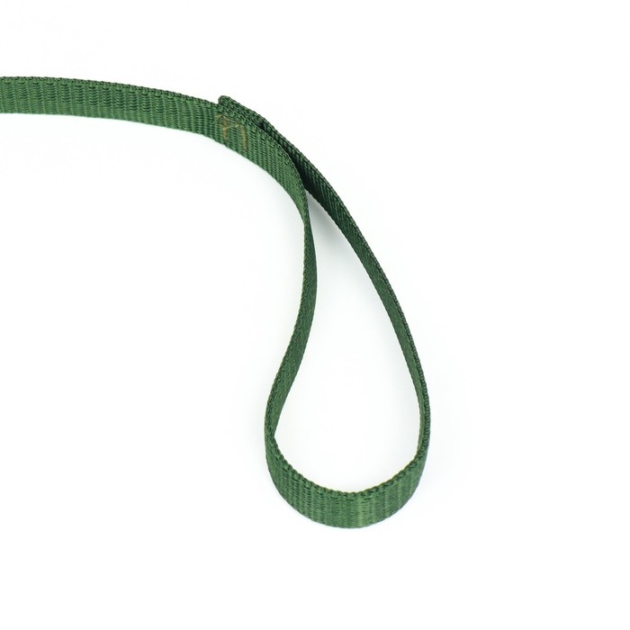 Поводок 5 м х 1,5 см, зелёный Поводок 5 м х 1,5 см, зелёный