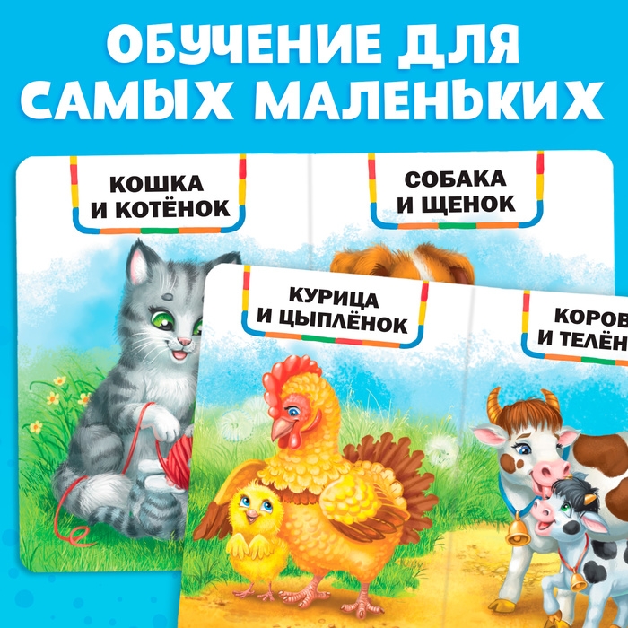 Книга картонная «Мамы и малыши», 10 стр. Книга картонная «Мамы и малыши», 10 стр.
