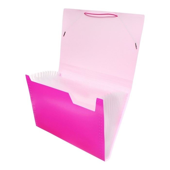 Папка картотека А4, Calligrata "Неон", 6 отделений, пластиковая, 700 мкм, фуксия, резинка в цвет