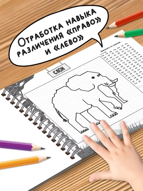 Книга детская &laquo;Графические диктанты. Животные&raquo;, 36 стр.